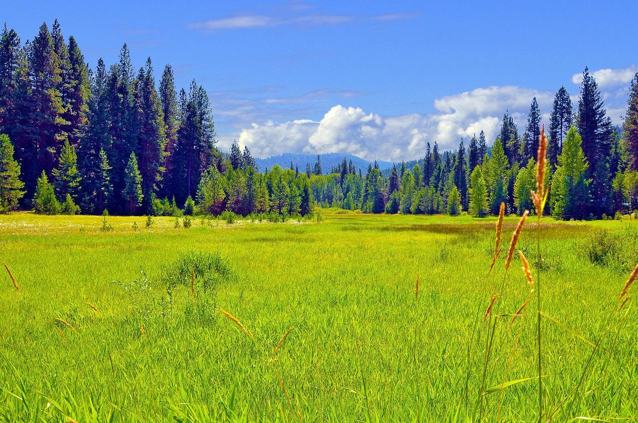 Leavenworth Camping Resort Tiny House Hanna Kültér fotó
